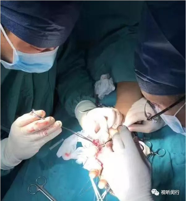 港澳免费资科大全