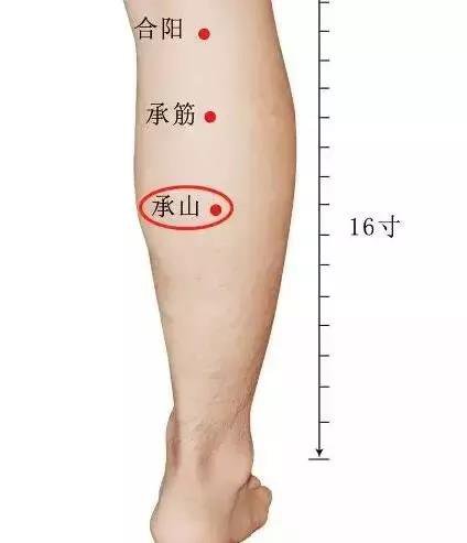 港澳免费资科大全