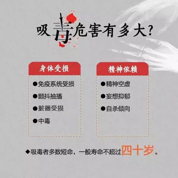 港澳免费资科大全