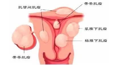 港澳免费资科大全