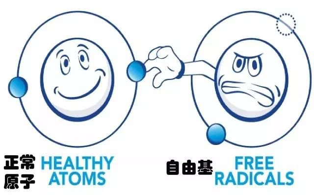 港澳免费资科大全